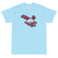 State Flag of Arkansas