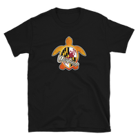 State Flag of Maryland