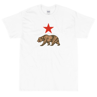 State Flag of California