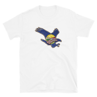 State Flag of Montana