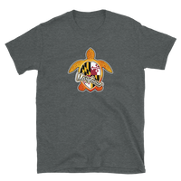 State Flag of Maryland