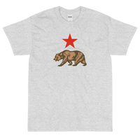 State Flag of California