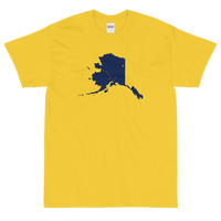 State Flag of Alaska