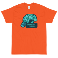 Orange City, Florida