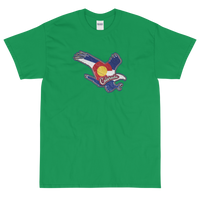 State Flag of Colorado