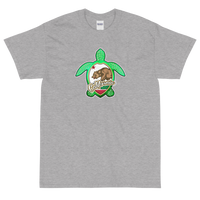 State Flag of California