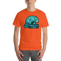 Orange City, Florida