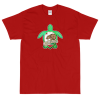 State Flag of California