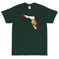 State Flag of Florida