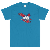 State Flag of Arkansas