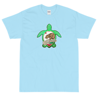 State Flag of California