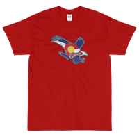 State Flag of Colorado