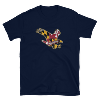 State Flag of Maryland