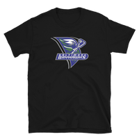 Baltimore Bayhawks