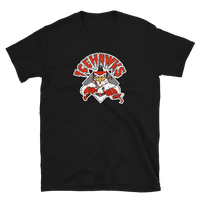 Winston-Salem IceHawks