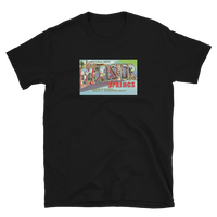 Excelsior Springs, Missouri