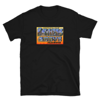 Downers Grove, Illinois