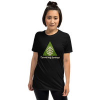 Pyramid Mall Saratoga