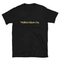 Wallichs Music City