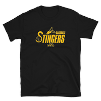 Sarasota Stingers