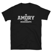 Amory, MS