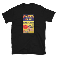 Palisades Amusement Park