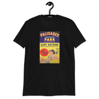 Palisades Amusement Park