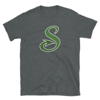 Shreveport Swamp Dragons