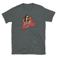 Idaho Stampede