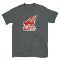 New Planet Roller Rink