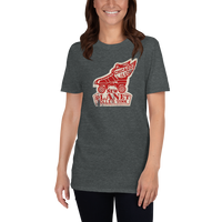 New Planet Roller Rink