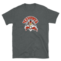 Winston-Salem IceHawks