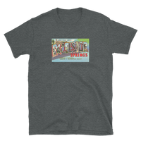 Excelsior Springs, Missouri