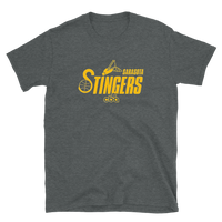Sarasota Stingers