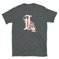 Lakeland Tigers