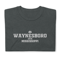 Waynesboro, Mississippi