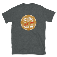 WLBS - Mt. Clemons, MI