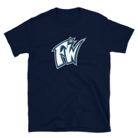 Fort Wayne Wizards