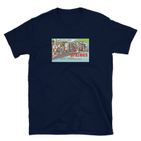 Excelsior Springs, Missouri