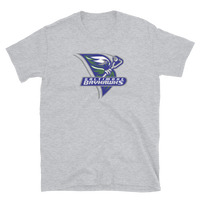 Baltimore Bayhawks