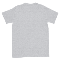 Geiser's Potato Chips