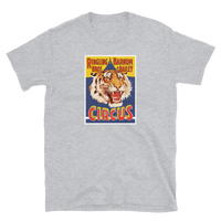 Ringling Brothers and Barnum & Bailey