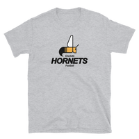 Charlotte Hornets