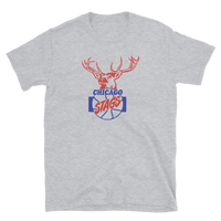 Chicago Stags