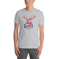 Chicago Stags