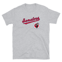 Washington Senators