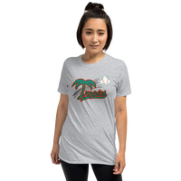 West Palm Beach Tropics