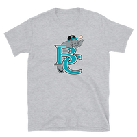 Brevard County Manatees