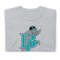 Brevard County Manatees