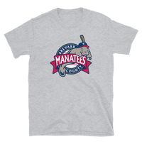 Brevard County Manatees